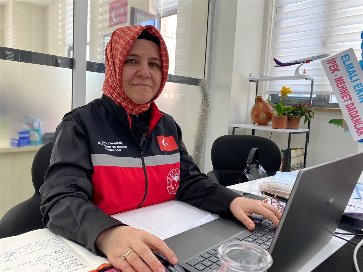 Antalya'da fırtına ve yağıştan zarar gören seralarda hasar tespit çalışması yapılıyor