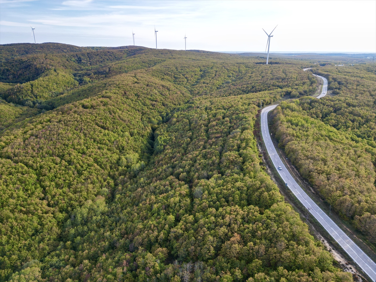 Tekirdağ'da ormanlarda sonbahar renkleri hakim oldu