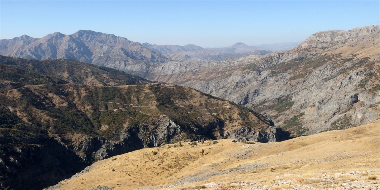 Bitlis’te terör sonrası boşalan köye dönen İsmet Akkoyun, ailesiyle yılda 2,5 ton bal üretiyor