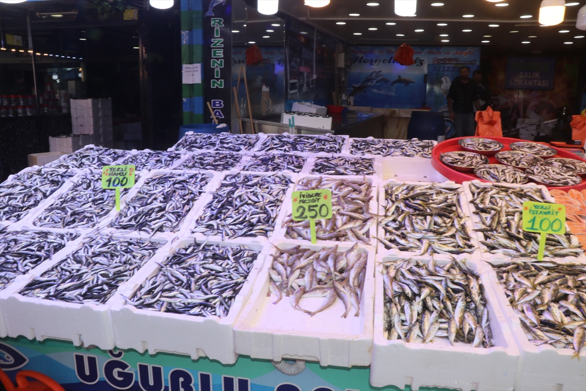 Rize'de balık tezgahlarında hamsi bolluğu yaşanıyor