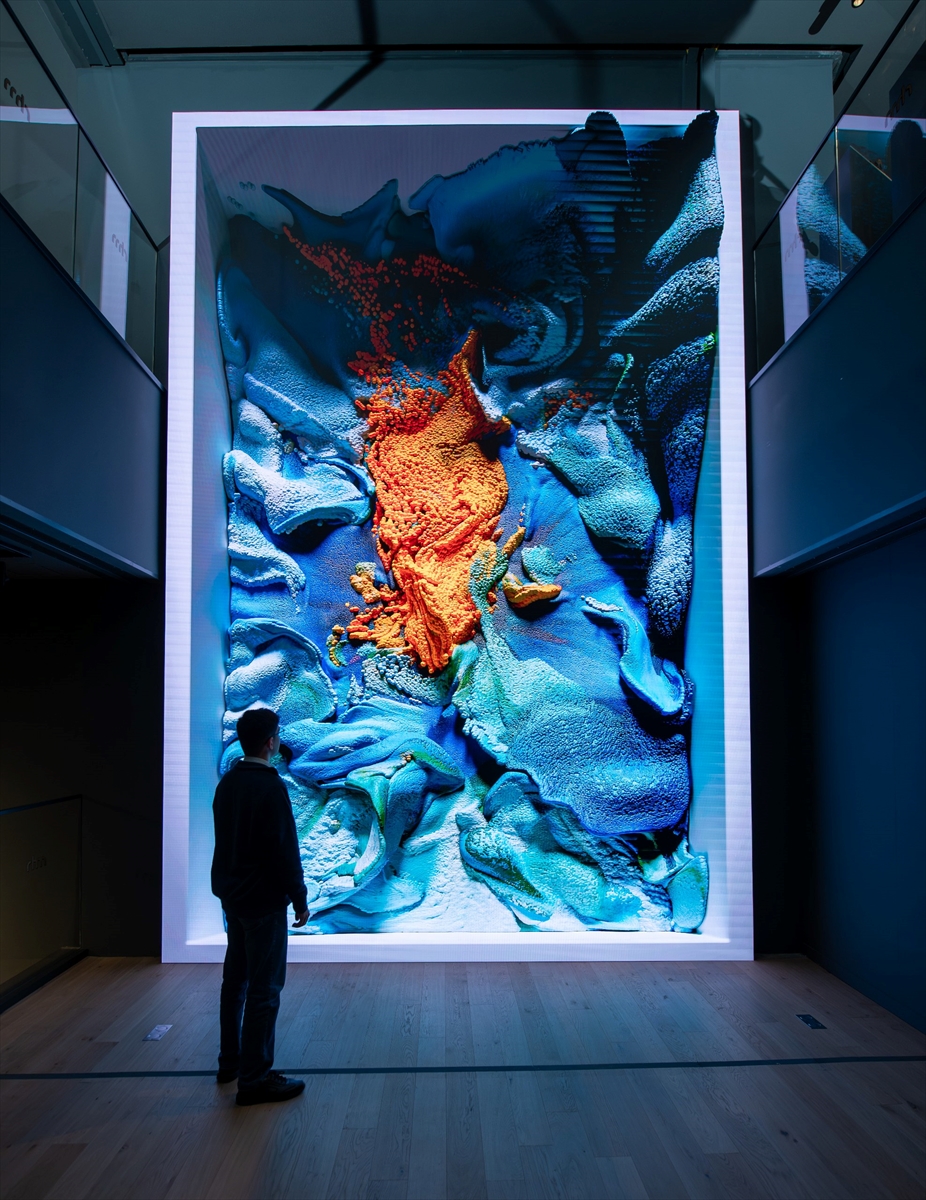 Refik Anadol'un "Türkiye-Flora" eseri İstanbul'da sanatseverlerle buluştu