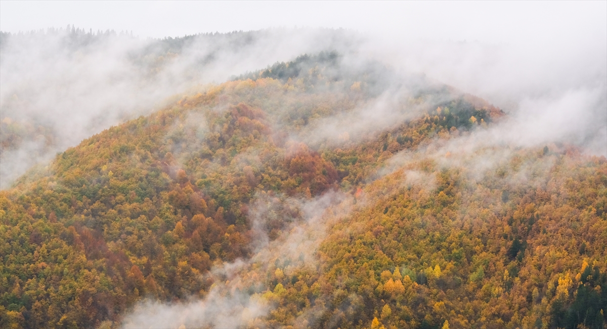 Ilgaz Dağı'nın yüksek kesimlerinde sis etkili oldu