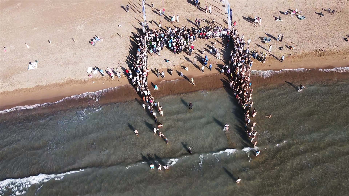 Muğla'da tedavileri tamamlanan deniz kaplumbağaları Cumhuriyet'in 102. yılı kapsamında denizle buluştu