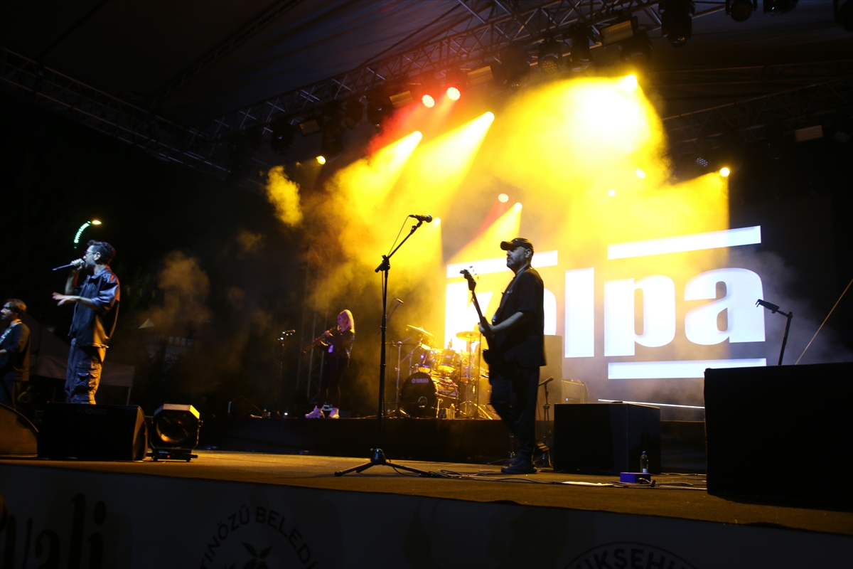 Hatay'da 9. Altınözü Zeytin, Zeytinyağı ve Gastronomi Festivali sürüyor