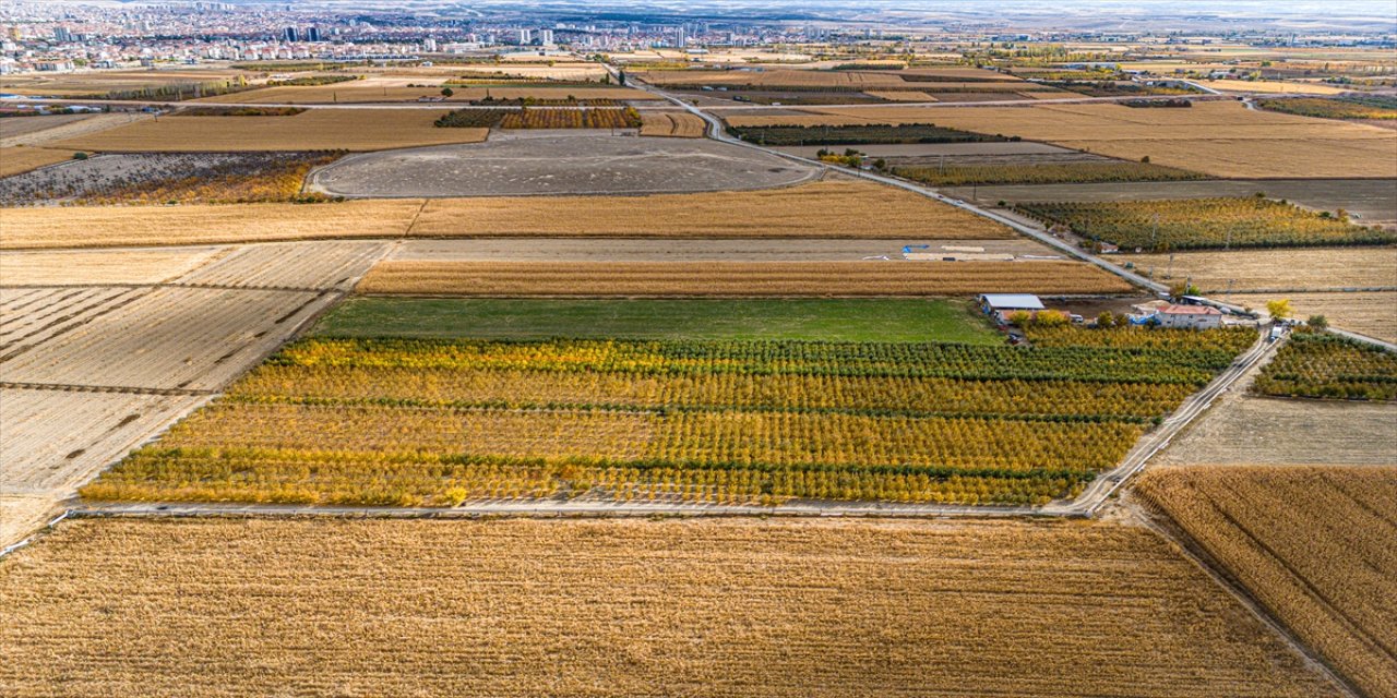 Karaman’da sezonun son elma hasadı sürüyor: İşçiler “fuji” türü elmalar için bahçelerde mesaide