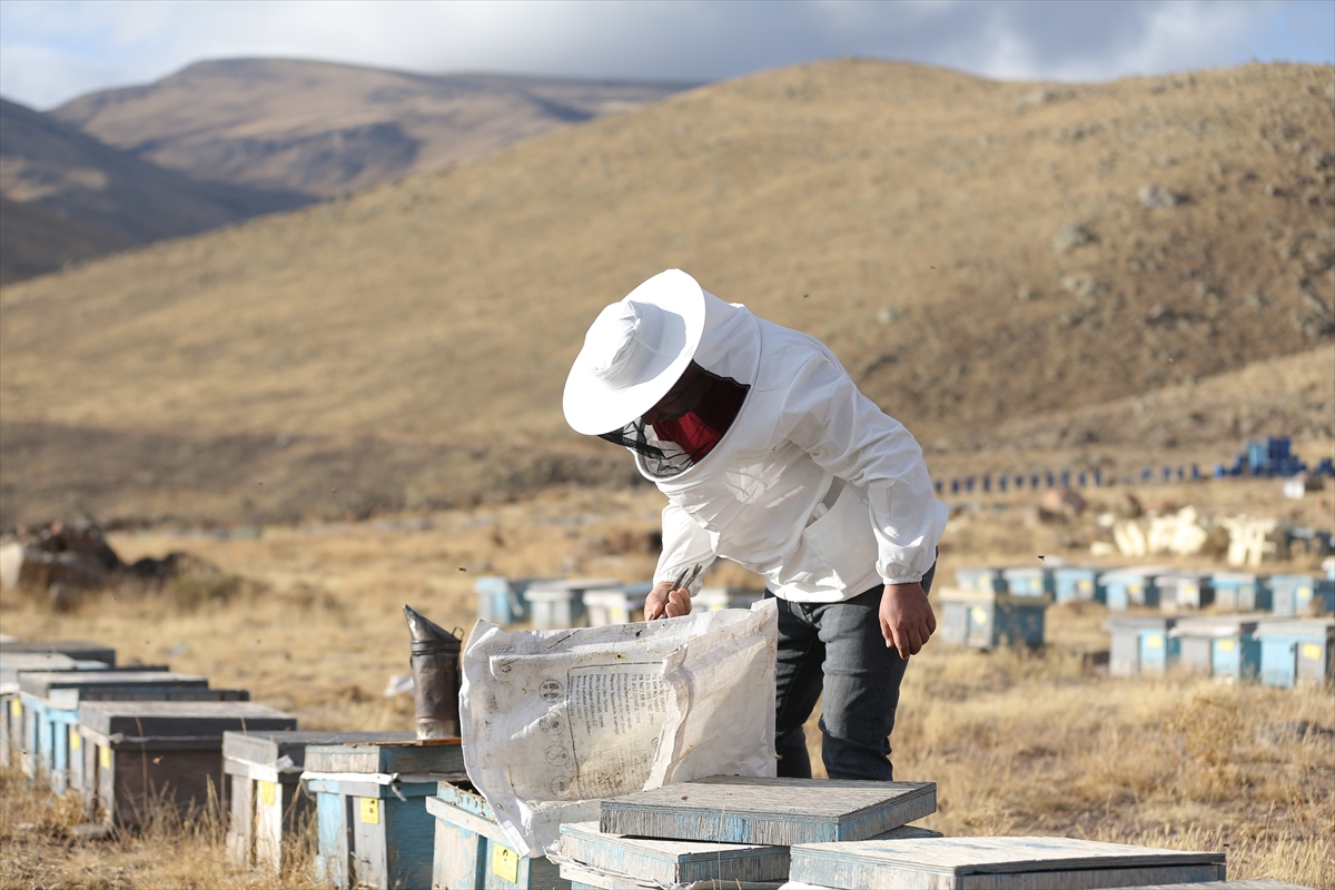 Dede mirası arıcılığı üçüncü kuşak temsilci olarak sürdürüyor