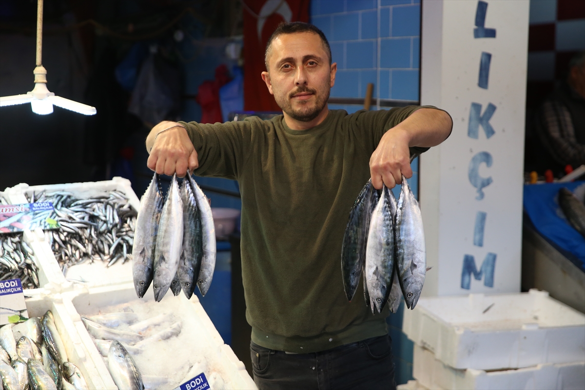 Ordu'da palamudun tanesi 150 liradan satılıyor