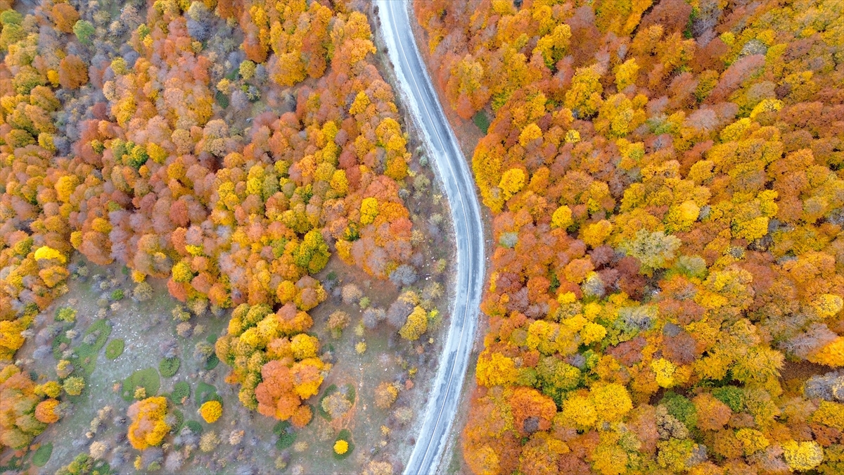 Sonbaharın renkleriyle kaplanan Şebek Geçidi dronla görüntülendi
