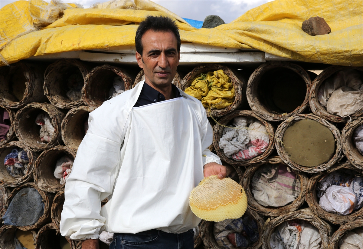 Bitlis Valisi Karakaya, karakovan balının hasadına katıldı: