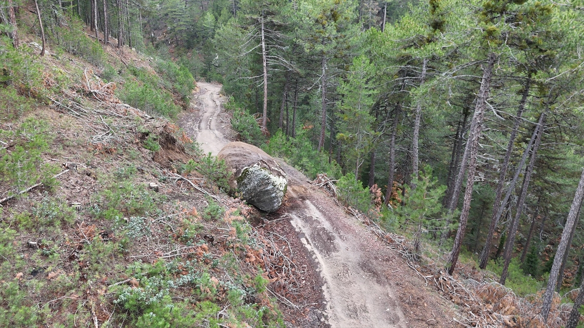 Sındırgı'daki depremin ardından Kütahya'da yamaçtan kopan kaya yolu kapattı