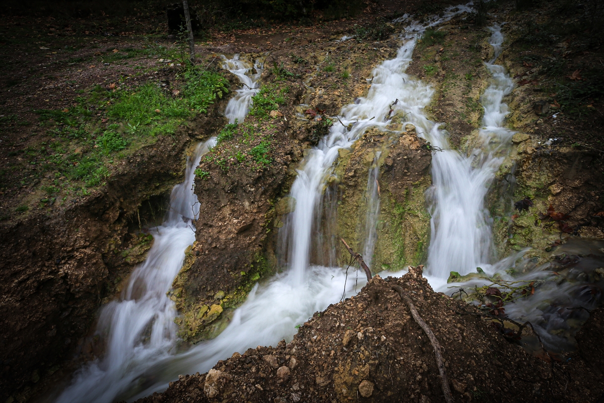 Depremle yeniden akmaya başlayan pınar, bahçeleri yeşertecek