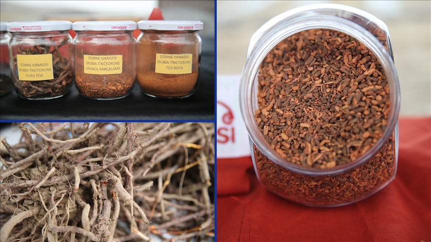 Edirne kırmızısı yapılan çalışmalarla ekonomik ve kültürel değer haline getirildi