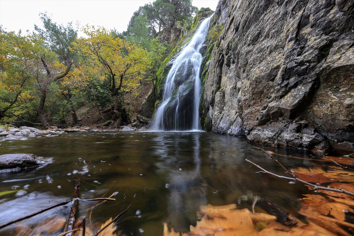 Yunt Dağları'ndaki ağaçlar hazan rengine büründü