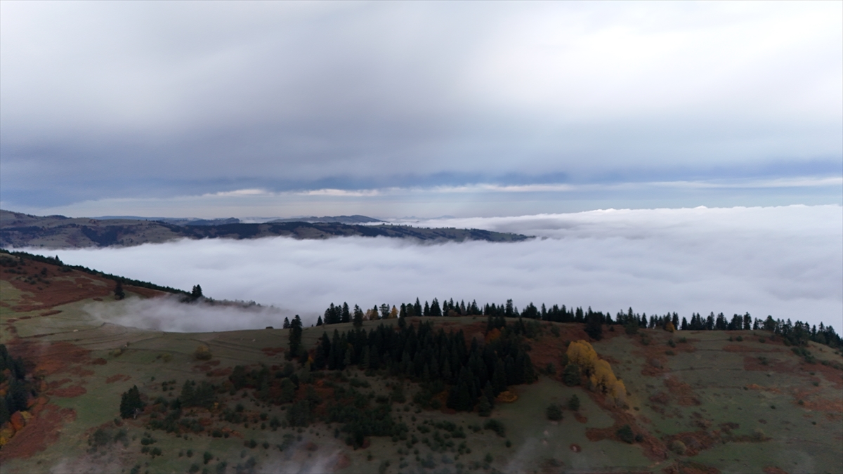 Samsun'da 1650 rakımlı Dürtmen Dağı'ndaki "sis denizi" dronla görüntülendi