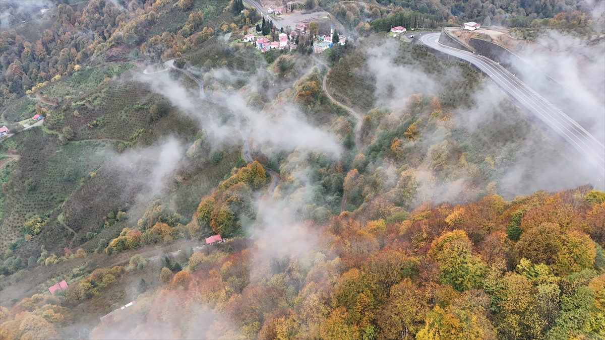 Ordu'da etkili olan sis sonbahar renkleriyle güzel görüntü oluşturdu