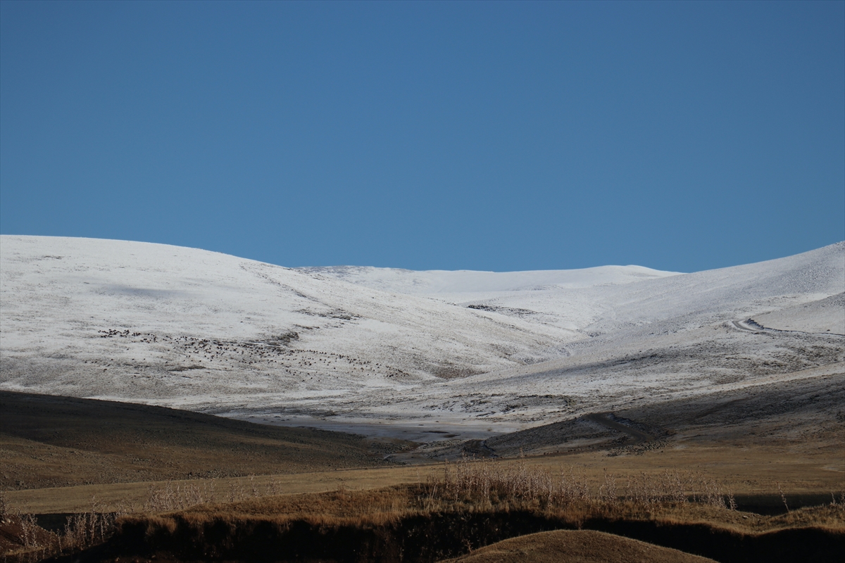 Kars, Ardahan ve Ağrı'da soğuk hava, kar ve sis etkili oldu