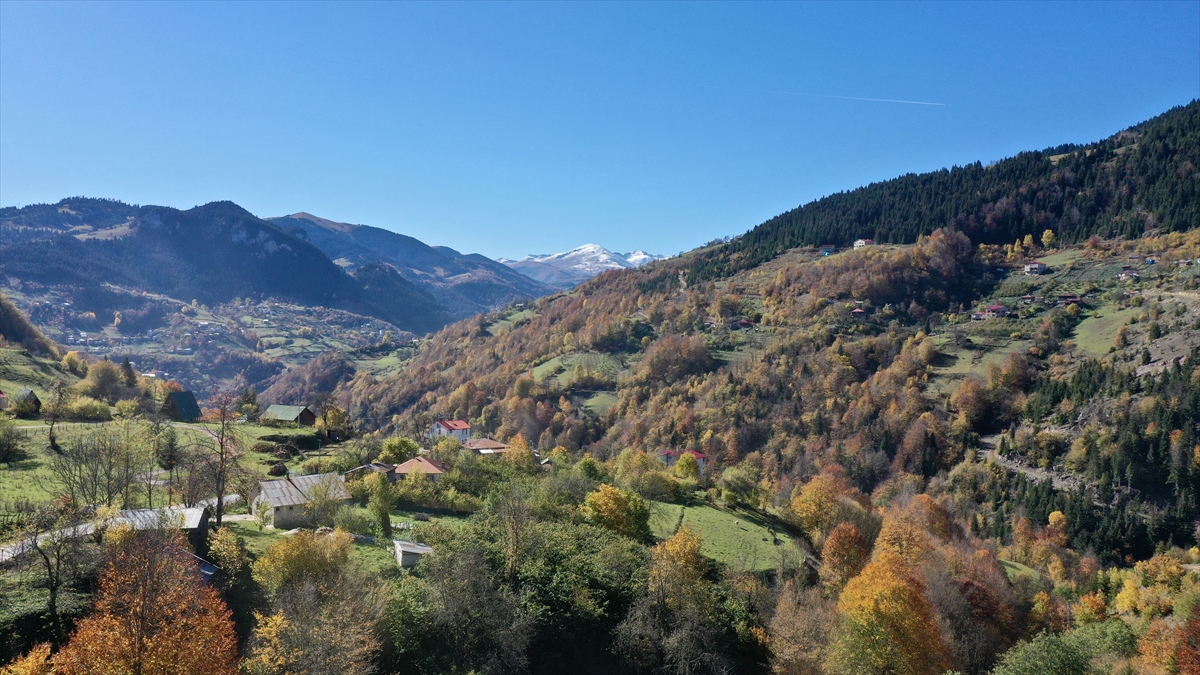 Doğal güzellikleriyle ünlü Giresun'un Dereli ilçesinde güz renkleri hakim oldu