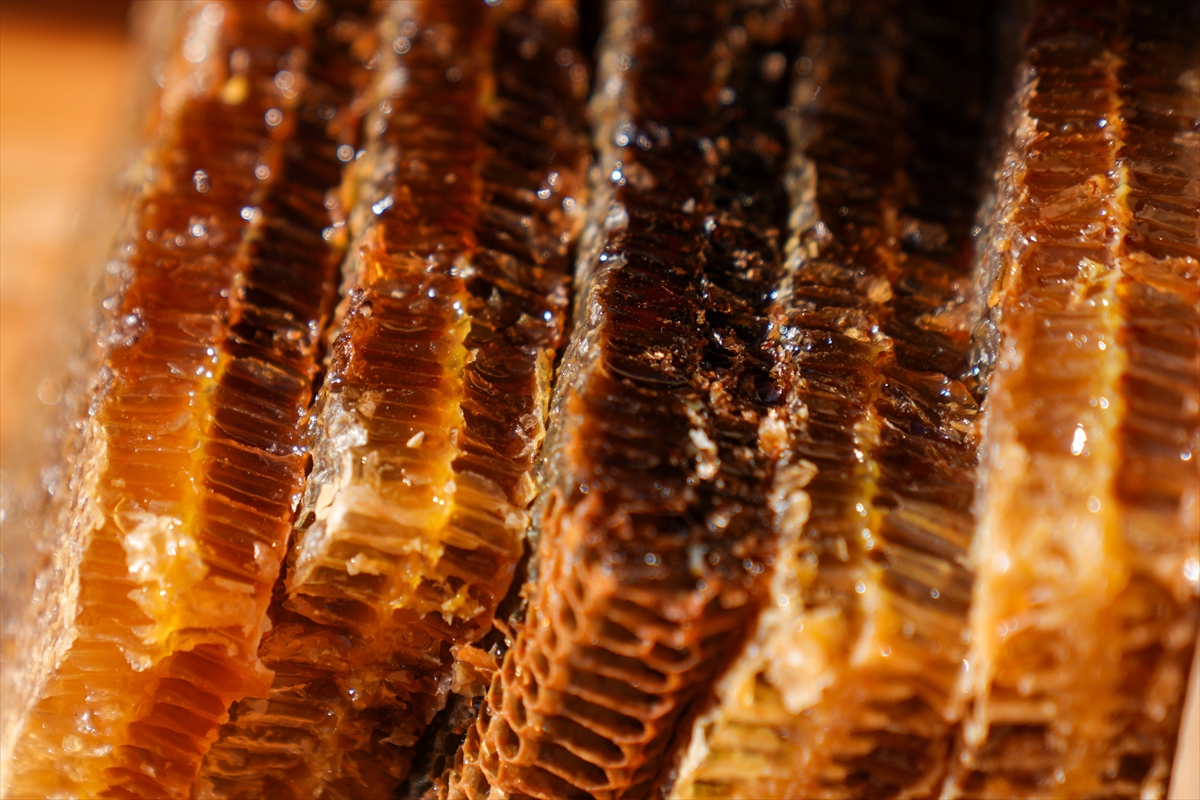 Başkentte, Ardahan Tanıtım Günleri başladı