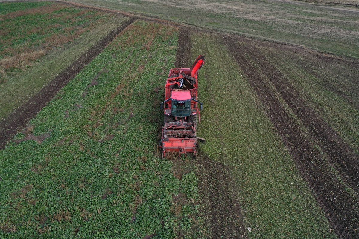 Ağrı'da devlet desteğiyle ekilen tarım ürünlerinde çeşitlilik artıyor