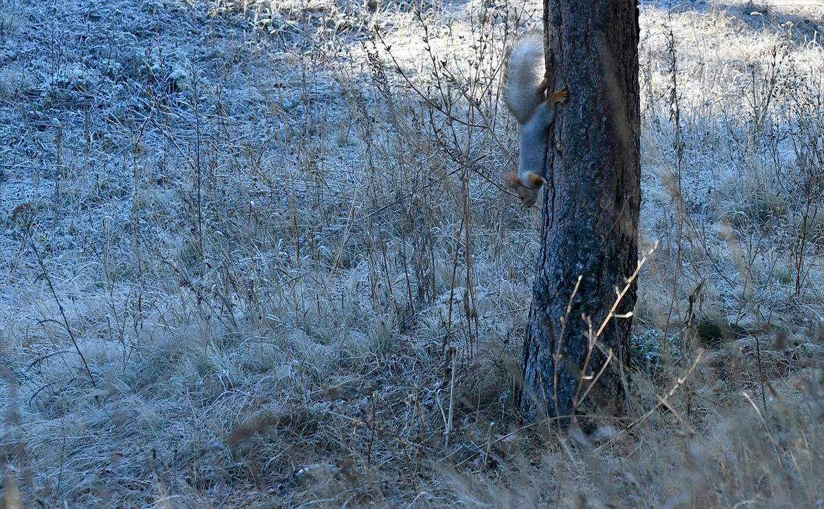 Kars'ta soğuk hava etkili oldu