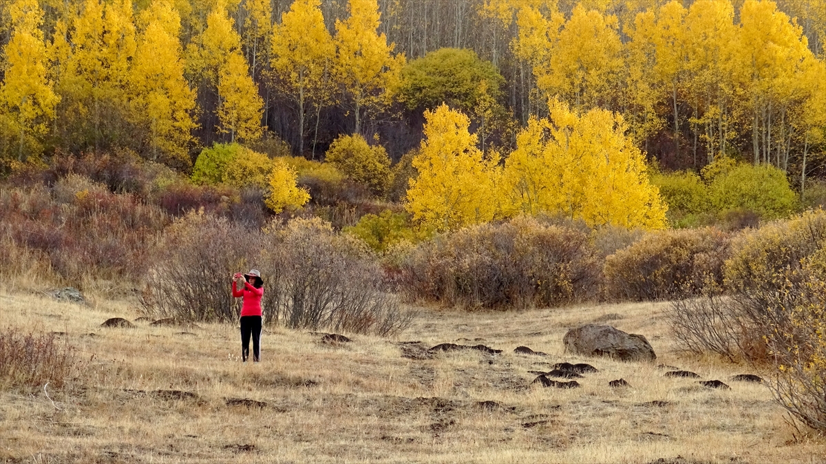 Sarıkamış'ta sonbaharın son güzellikleri yaşanıyor