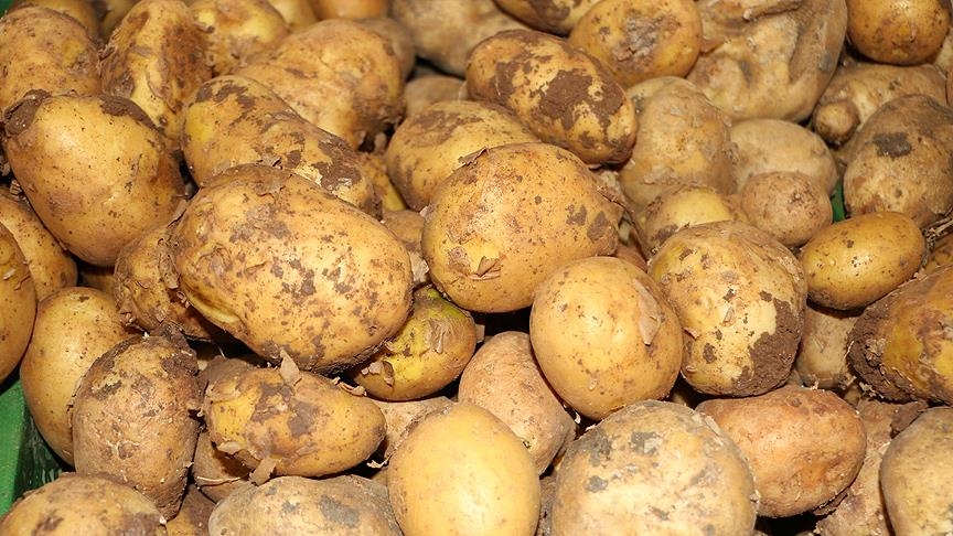 Patates fiyatlarına ilişkin kamuoyu yanıltılıyor