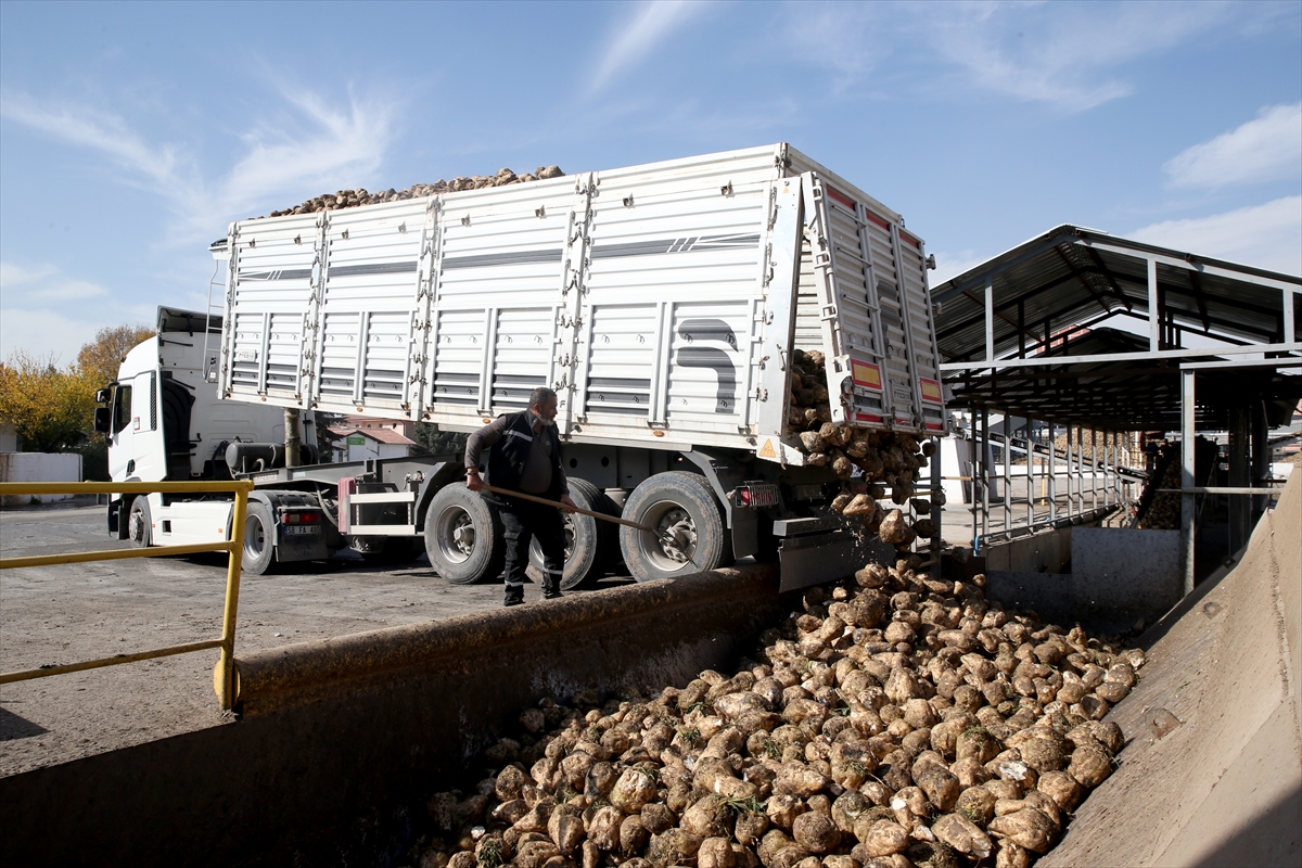 Kayseri Şeker bu sezon 475 bin ton şeker üretimi hedefliyor