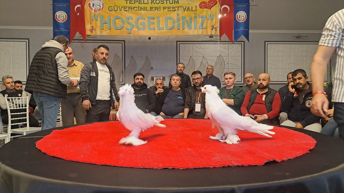 Sakarya'da "6. Tepeli Kostüm Güvercinleri Festivali" düzenlendi