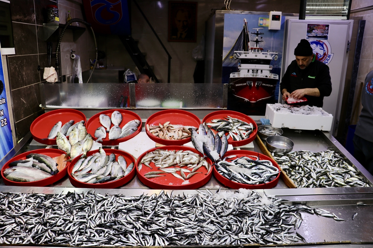 Trabzon'daki balıkçı tezgahlarında hamsi bolluğu devam ediyor