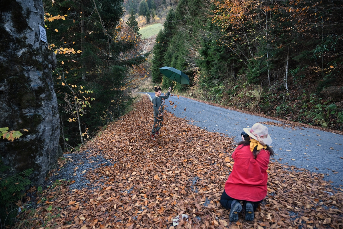 Dağların eteğindeki Hamsiköy oyuk ağaçlarıyla fotoğraf tutkunlarına alternatif sunuyor