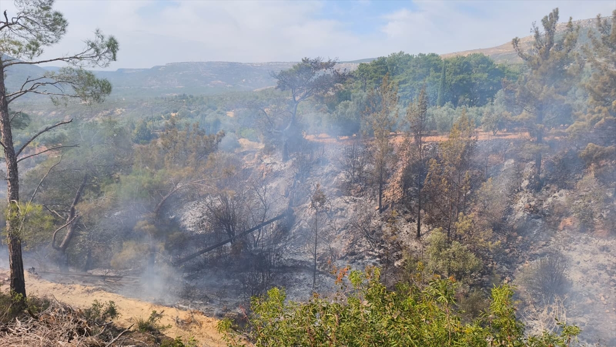 Mersin'de temizlik için ateş yakılan bahçede çıkan yangında 1 kişi yaşamını yitirdi