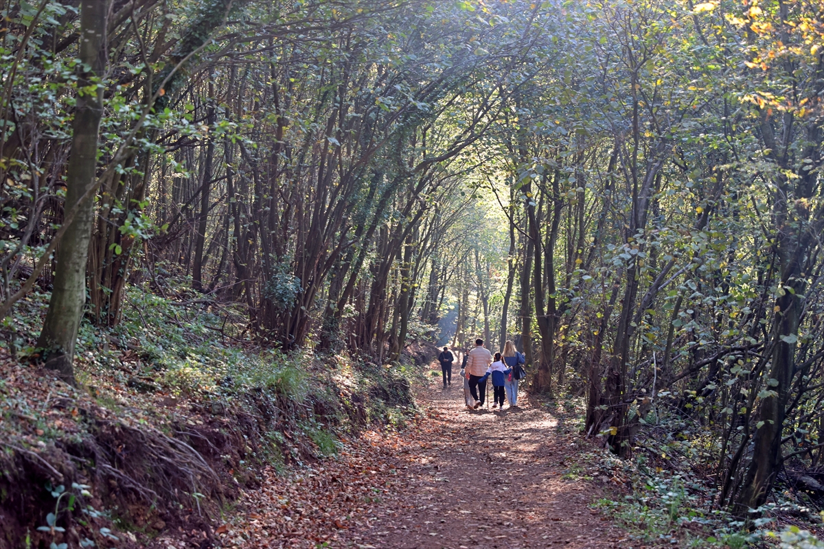 Canik Ekoturizm Alanı ve Doğa Yürüyüş Parkuru doğaseverleri ağırlıyor