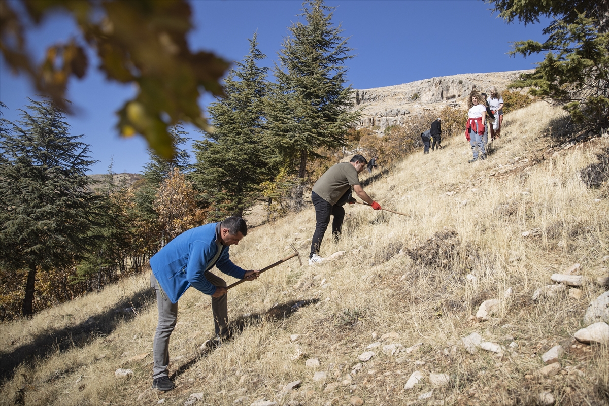 Doğa tutkunları, Tunceli'nin kıraç topraklarını meşe palamuduyla buluşturuyor