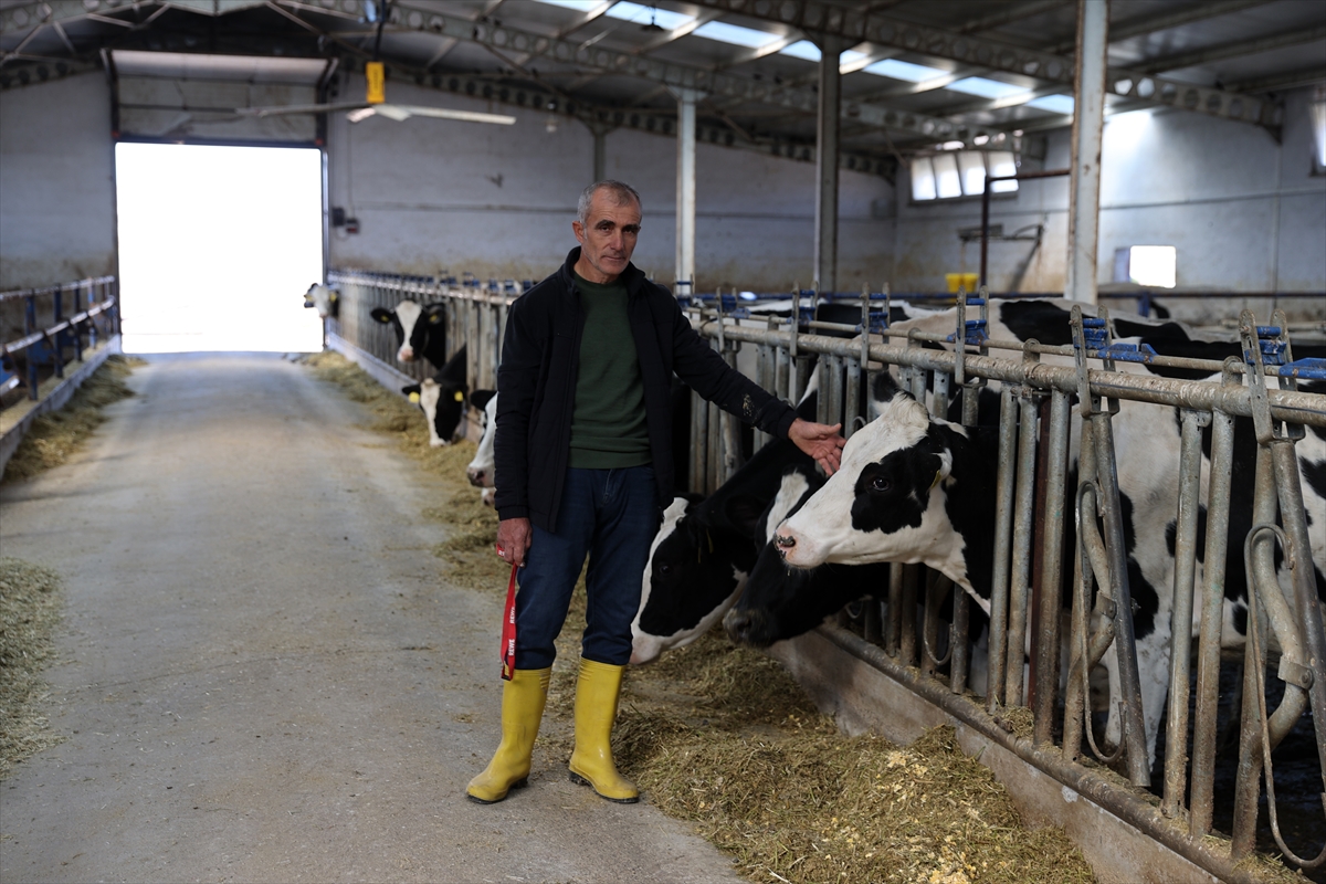 Devlet desteğiyle kurduğu işletmesinde günlük 1 ton süt elde ediyor