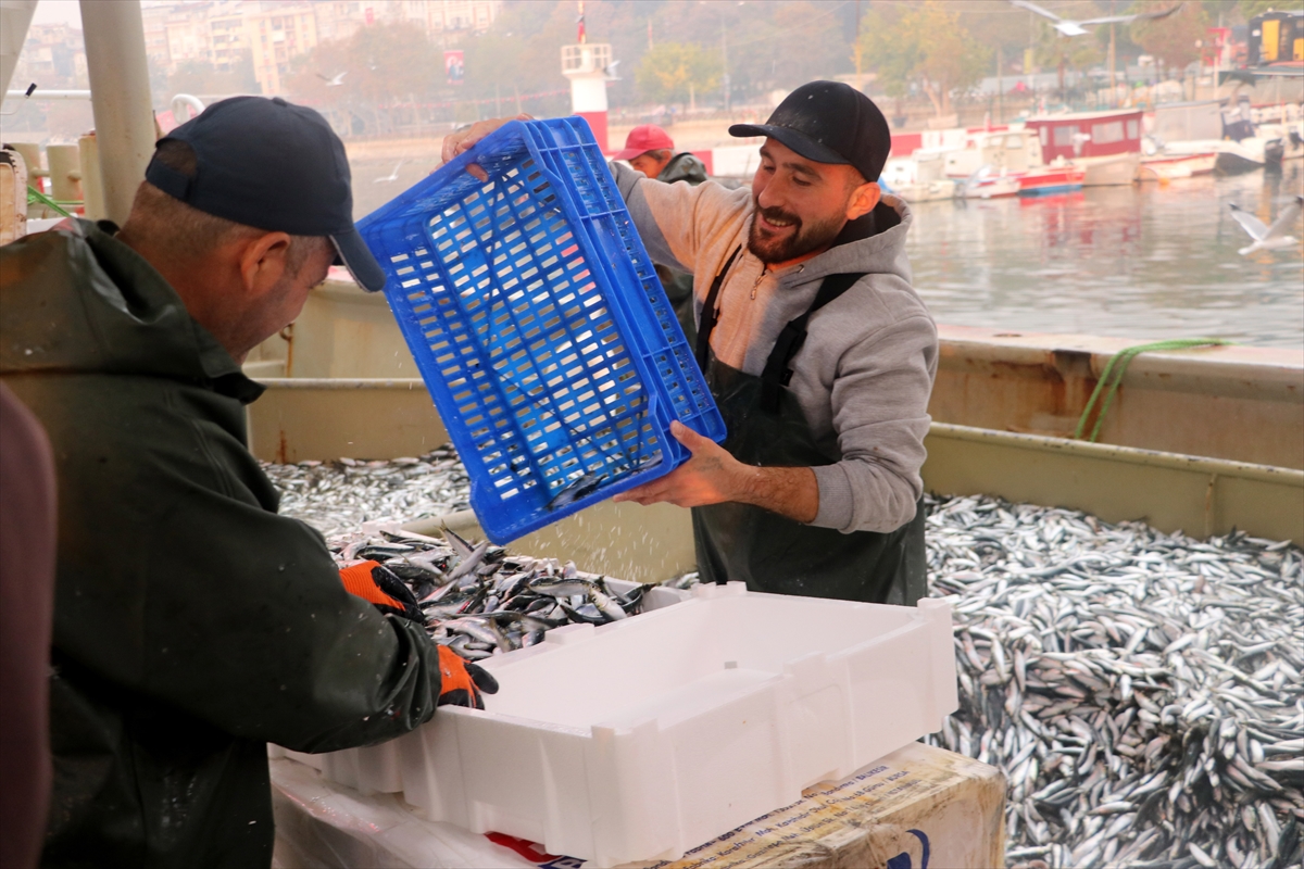 Hamsi ve sardalya bolluğu Tekirdağ'da balıkçıların yüzünü güldürdü