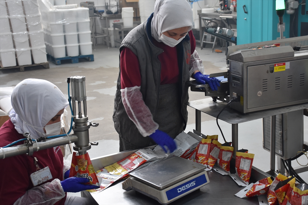 Devlet desteğiyle üretim kapasitesini artıran şirket, leblebi kremasını yurt dışına gönderiyor