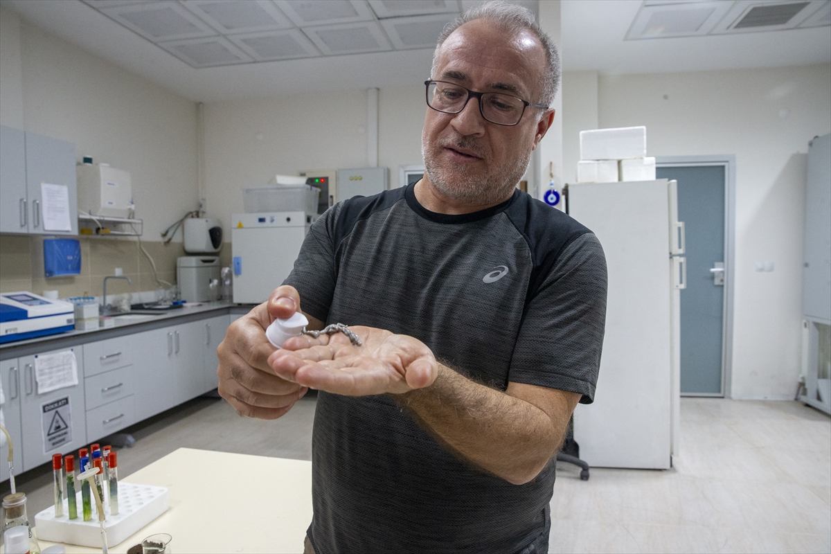 Türk akademisyenler, mürekkep balığından cilt onarıcı ve koruyucu güneş kremi üretti