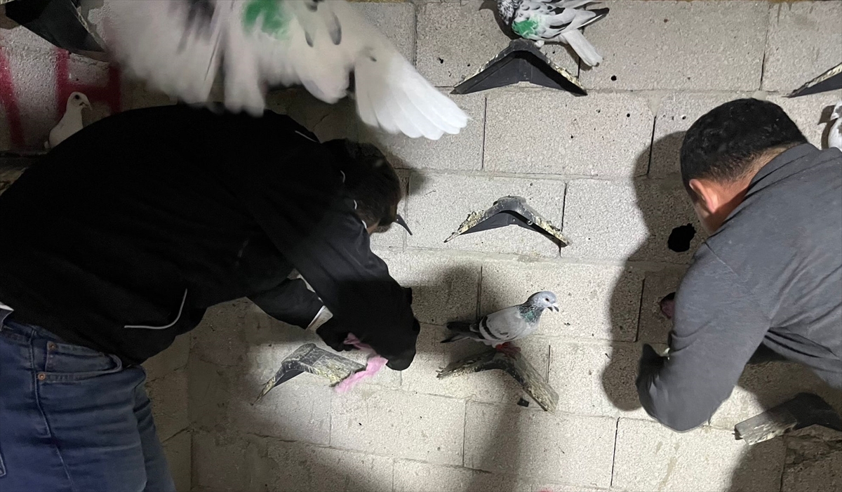 Hatay'da kümese 2 kilo 600 gram uyuşturucu gizleyen zanlı tutuklandı