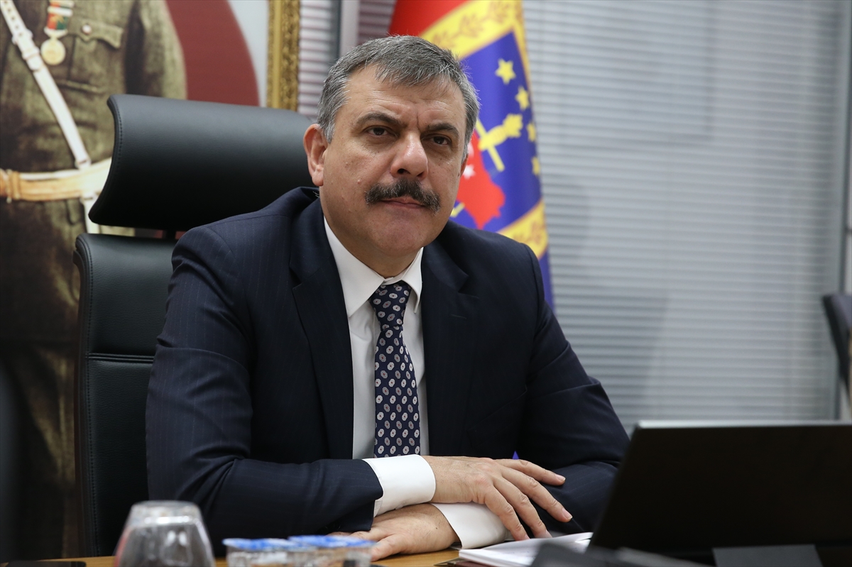 Erzurum'da sahipsiz hayvanların hepsi toplandı