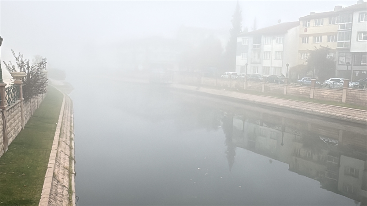 Eskişehir'de sis etkili oldu