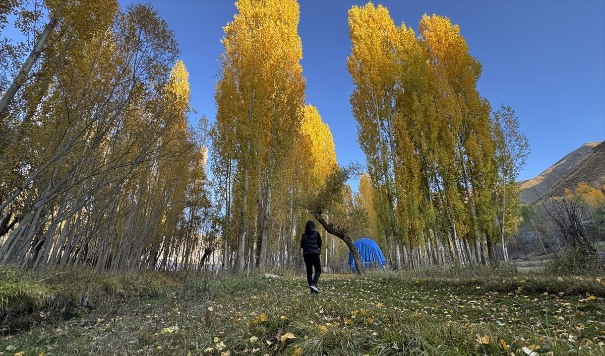 Bitlis'in doğal güzellikleri sonbahar renklerine büründü