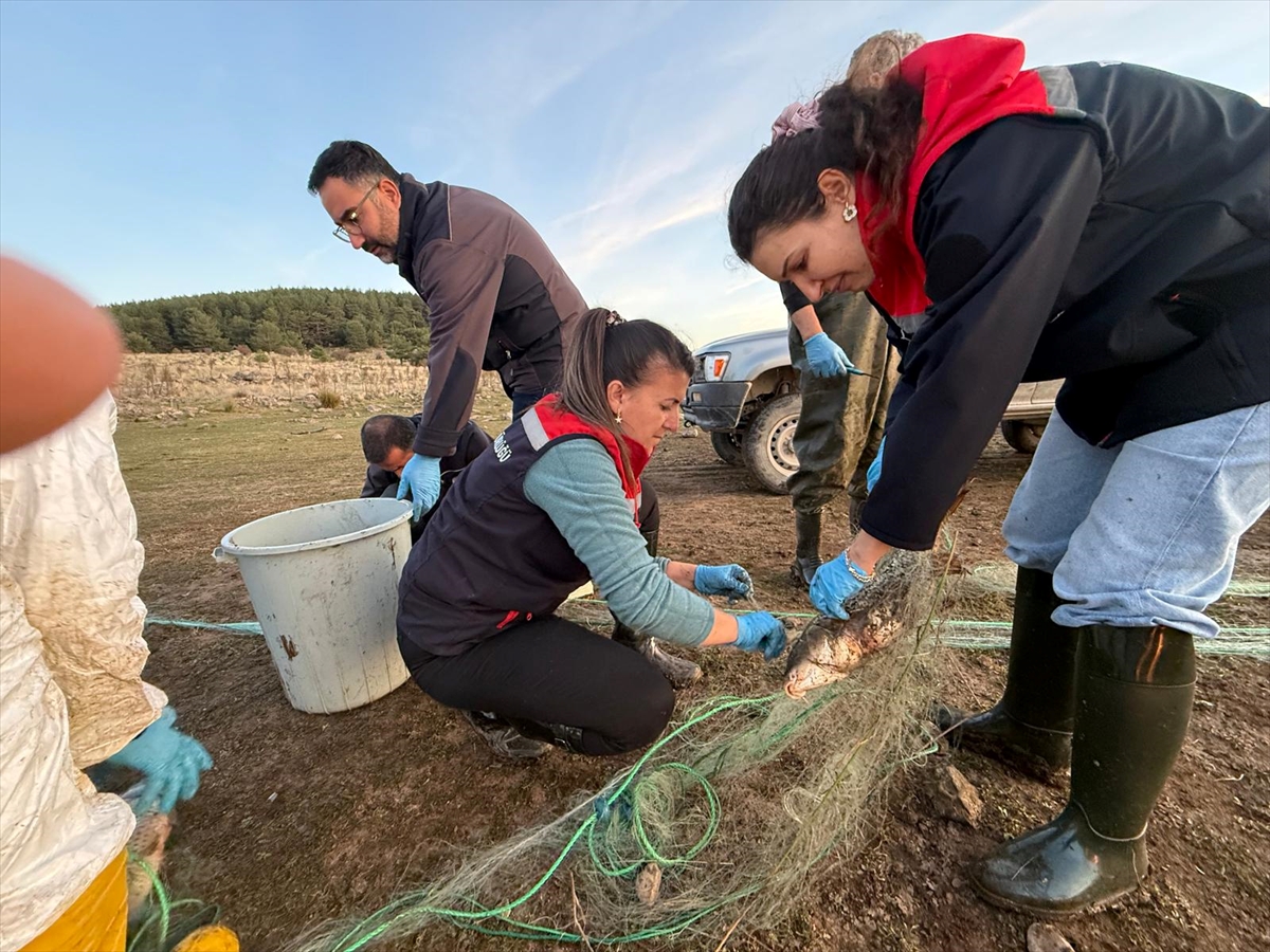 Bolu'da göle bırakılan 5 bin metrelik ağdaki 500 balık kurtarıldı