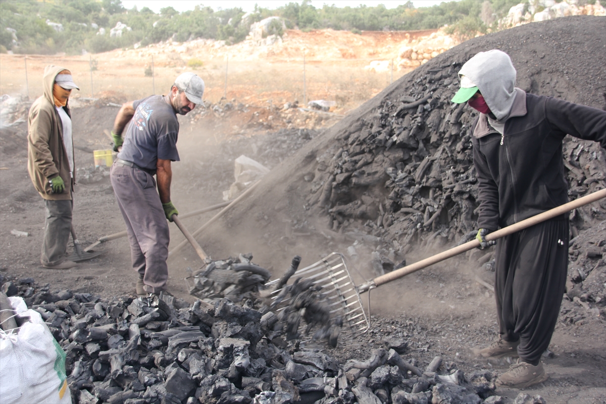 Mersin'de işçiler meşe odunlarını mangal kömürüne dönüştürüyor