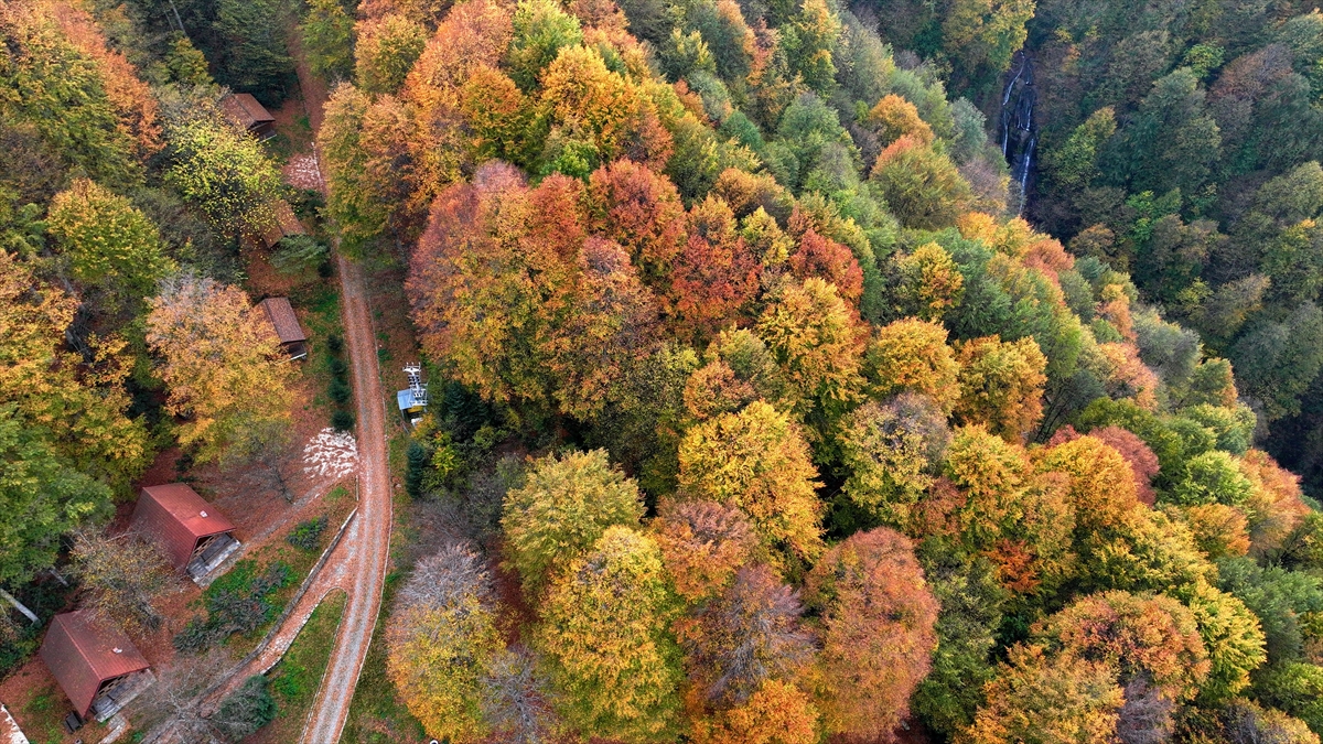 Güzeldere Şelalesi Tabiat Parkı'nda sonbahar renkleri
