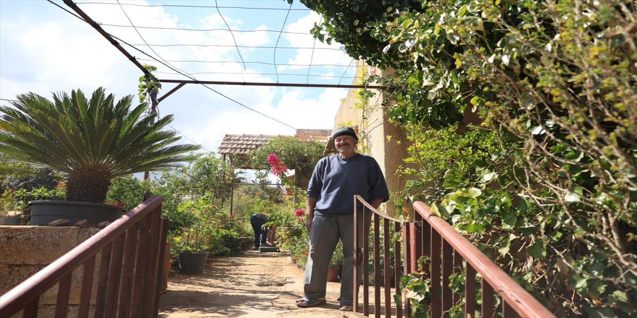 Savaşta koleksiyonunu kaybeden Suriyeli Amir Receb, 12 bin tıbbi bitkiyi yeniden yetiştirerek koleksiyonunu canlandırıyor