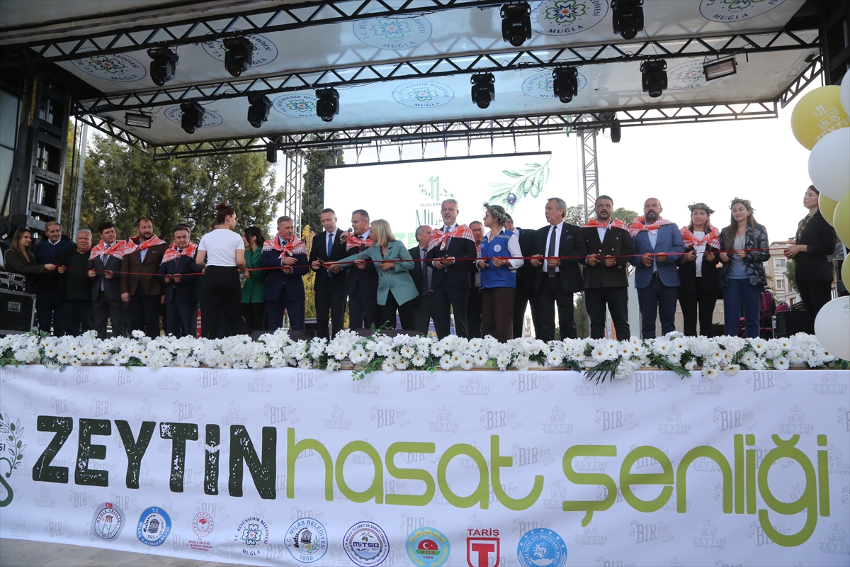 11. Uluslararası Milas Zeytin Hasat Şenliği başladı