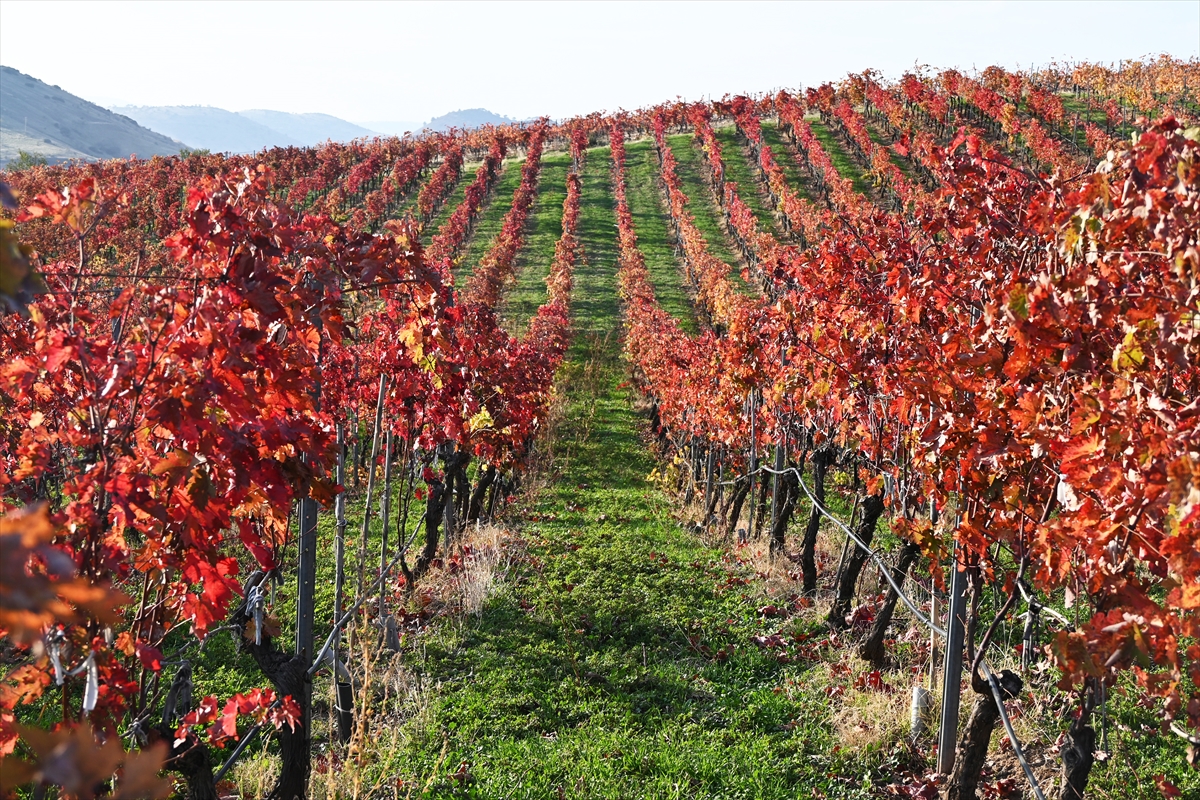 Yanık Ülke'de sonbahar renkleri