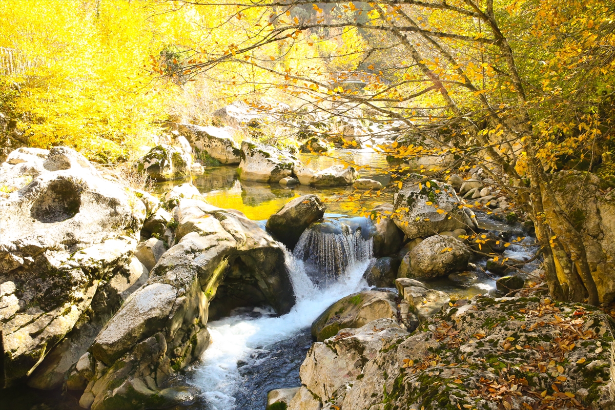İçinden sonbaharın geçtiği kanyon: Horma