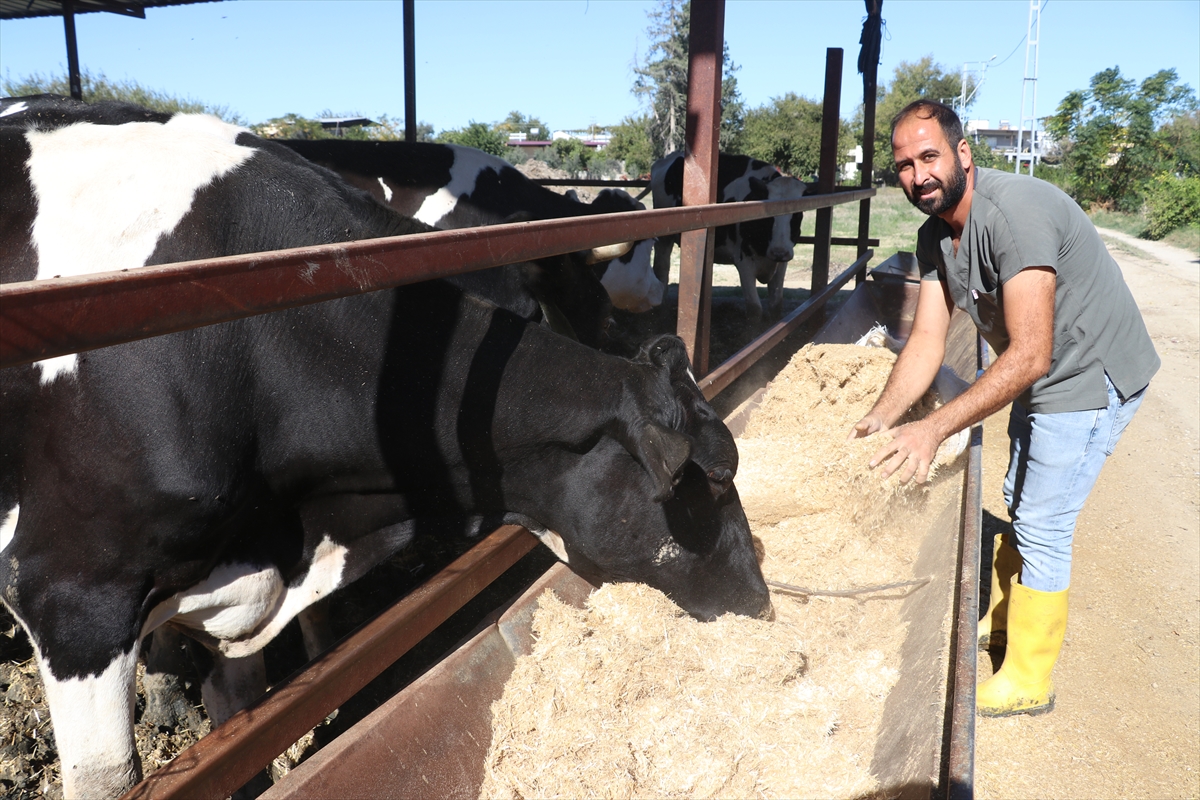 e-Devlet Kapısı'ndan gönderdiği başvuru Adanalı teknisyeni süt çiftliği sahibi yaptı