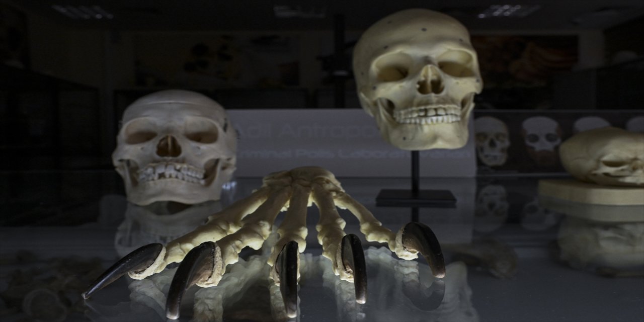 Emniyet’in adli antropoloji laboratuvarı, kayıp şahısları “yeniden yüzlendirme” yöntemiyle kimliklendiriyor